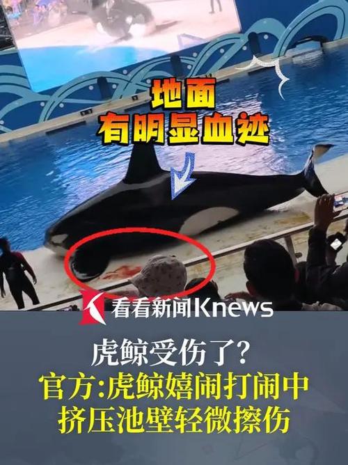 admin 第9页