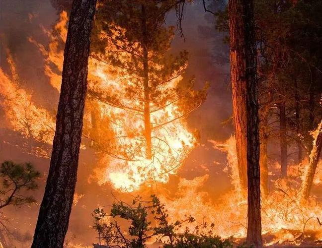 新澳天天彩免费大全和加拿大多地野火肆虐与加拿大多地野火肆虐进入紧急状态