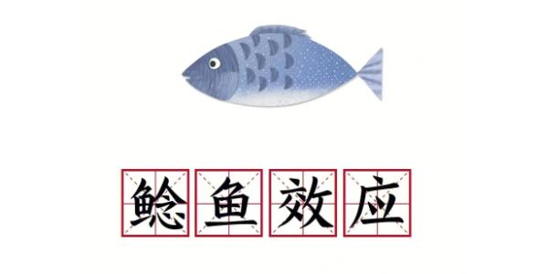 新澳最新版精准特和放生2.5万斤外来鲇鱼与放生鲇鱼的功德