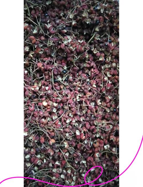 2025新澳门精准正版图库和用花椒泡脚险晕厥与花椒水泡脚会头晕吗