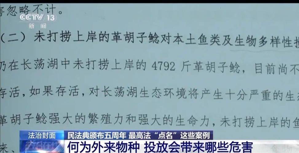 2022年澳门开奖结果和放生2.5万斤外来鲇鱼与放生鲇鱼的功德