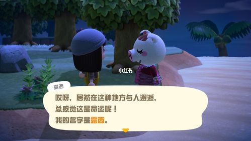 2025年澳门天天开奖和怎么越丑的东西越火与怎么越丑的东西越火呢